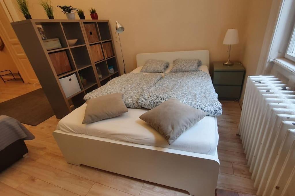 Wesseleny Apartment Near Synagogue With Ac After Renovation بودابست المظهر الخارجي الصورة