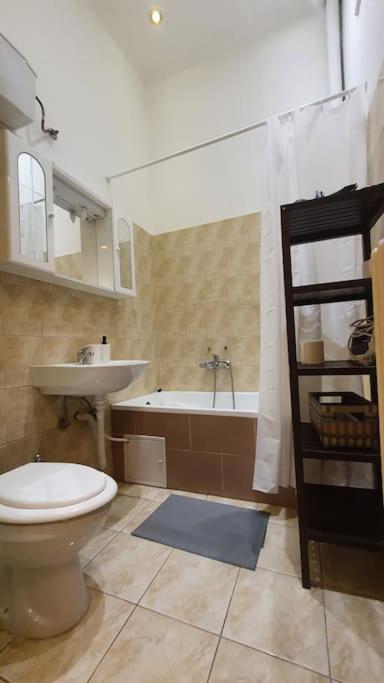 Wesseleny Apartment Near Synagogue With Ac After Renovation بودابست المظهر الخارجي الصورة